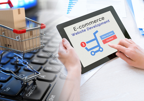 Ecommerce Development